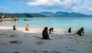 开云体育地址-世界沙滩龙舟锦标赛中国团队表现优异，国际龙舟锦标赛