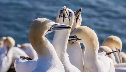 开云体育活动-体育新闻中心推动基层体育数字内容生态建设，体育产业数字化