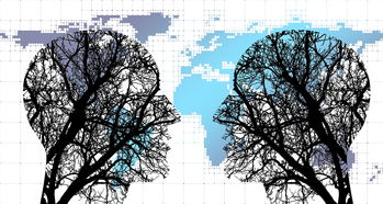 开云中国大陆-体育新闻中心构建体育赛事图文直播协同平台，最新的体育赛事新闻稿